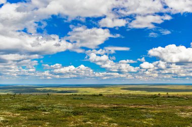 Kuzey tundrası ve gökyüzü manzarası. Kutup altı Urallar 'da bir yaz günü bulutlar.