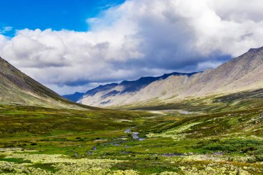Kutupaltı Urallar 'da bir dağ vadisinde bir yaz günü akarsu
