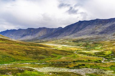 Kutupaltı Urallar 'da bir dağ vadisinde bir yaz günü akarsu