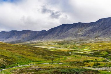 Kutupaltı Urallar 'da bir dağ vadisinde bir yaz günü akarsu
