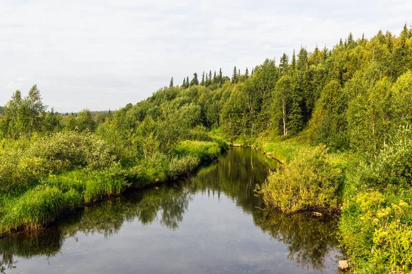 Bulutlu bir günde, kuzey bölgesindeki çalıların arasından akan soğuk bir dere.