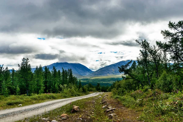 Chemin Terre Travers Taïga Nord Vers Les Montagnes Dans Oural — Photo