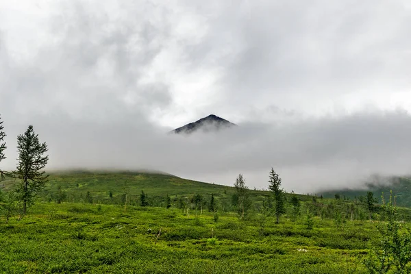 云天亚极乌拉尔山脉云中的山顶 — 图库照片