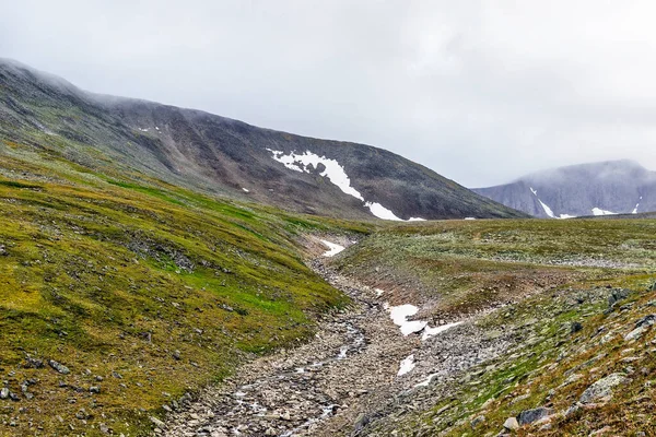 Bir yaz günü Subpolar Urallar 'da bir yamaçtan bir dağ vadisine
