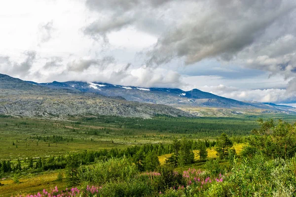 Landschaft Mit Gebirgstal Und Felsigen Bergen Subpolaren Ural Einem Sommertag — Stockfoto