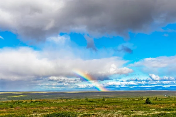 Bir yaz günü Urallar 'da ufuktaki tundra ve dağ sırasının görüntüsü