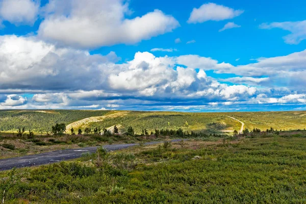 View Nothern Tundra Taiga Distance Subpolar Urals Summer Day — Stock Photo, Image