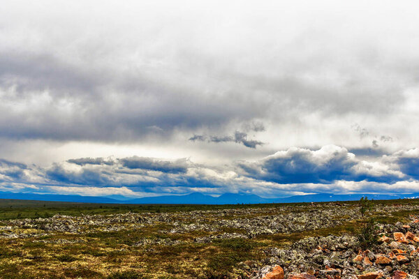 View of the tundra and the mountain range on the horizon in the Subpolar Urals on a summer day