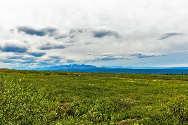 View of the tundra and the mountain range on the horizon in the Subpolar Urals on a summer day