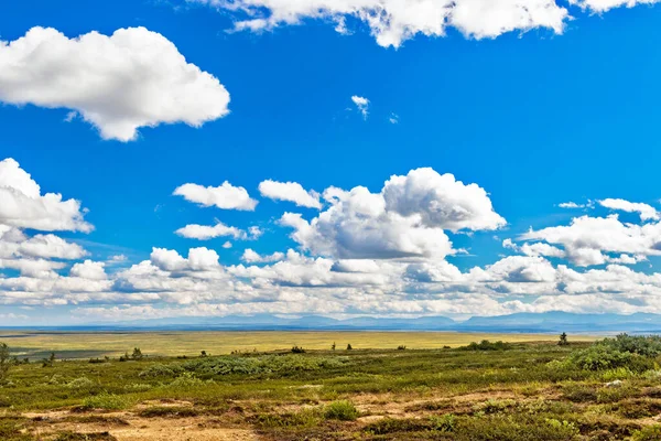 Vista Tundra Cordillera Horizonte Los Urales Subpolares Día Verano — Foto de Stock