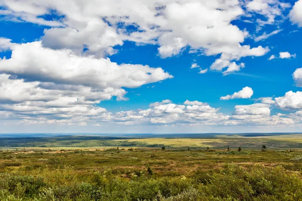 Bir Yaz Günü Subpolar Urallar Nothe Tundra Taiga Manzarası — Stok fotoğraf