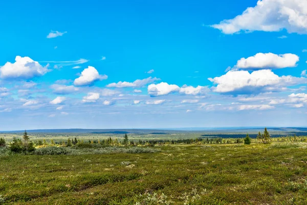 Veduta Della Tundra Della Taiga Lontananza Negli Urali Subpolari Una — Foto Stock