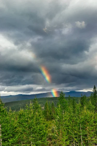 Rainbow over the mountains and forest in the Subpolar Urals on a cloudy summer day