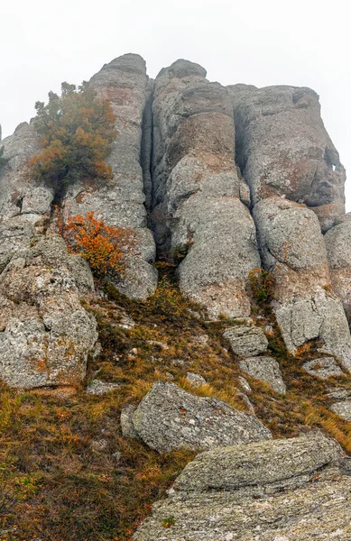 Gris Aberrants Rocheux Sommet Montagne Dans Brouillard Jour Automne — Photo