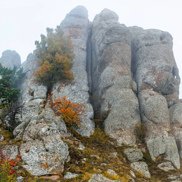 Gris Aberrants Rocheux Sommet Montagne Dans Brouillard Jour Automne — Photo