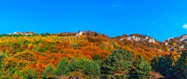 Kırım 'ın dağları ve ormanlarıyla dolu bir sonbahar günü manzarası