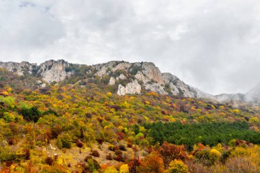 Kırım 'ın dağları ve ormanlarıyla dolu bir sonbahar günü manzarası