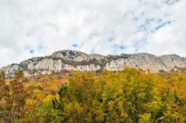 Kırım 'ın dağları ve ormanlarıyla dolu bir sonbahar günü manzarası