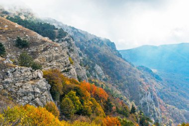 Kırım 'da bulutlu bir sonbahar gününde sisli gri sarp kayalıklar