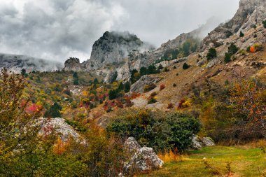 Kırım 'ın dağları ve ormanlarıyla dolu bir sonbahar günü manzarası