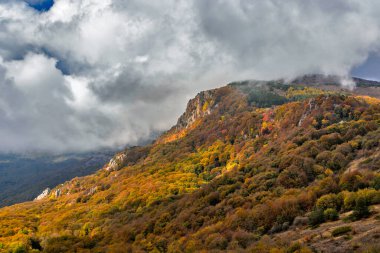 Kırım 'ın dağları ve ormanlarıyla dolu bir sonbahar günü manzarası