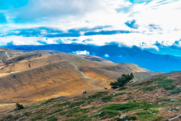 Krymskogo Landschap Van Top Chatyr Dag Plat Herfst Dag — Stockfoto