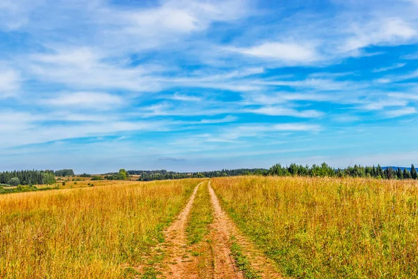 Dirt Road Hill Meadows Sunny Summer Day — Stock Photo, Image