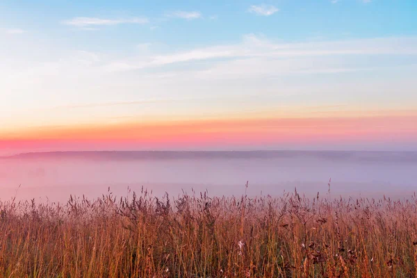 Rosa Amanecer Sobre Campo Niebla Una Mañana Verano — Foto de Stock