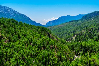 Güneşli bir yaz gününde dağlarla ve ebediyete kadar yeşil ormanlarla kaplı bir manzara.