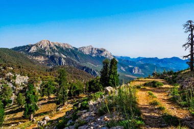Güneşli bir yaz gününde dağlarda bir yol manzarası