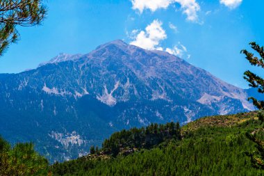 Güneşli bir yaz gününde dağlarla ve ebediyete kadar yeşil ormanlarla kaplı bir manzara.