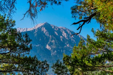 Güneşli bir yaz gününde dağlarla ve ebediyete kadar yeşil ormanlarla kaplı bir manzara.