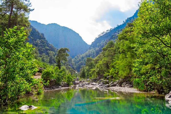 Piccolo Lago Ruscello Montagna Una Giornata Estiva Soleggiata — Foto Stock