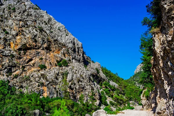 Landskap Med Väg Bergen Solig Sommardag — Stockfoto