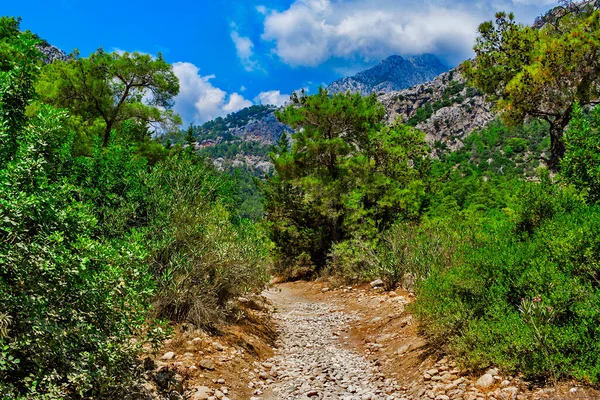 Paisagem Com Uma Estrada Nas Montanhas Dia Ensolarado Verão — Fotografia de Stock