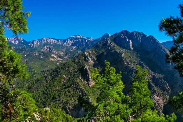 Landschaft Mit Bergen Und Immergrünem Wald Einem Sonnigen Sommertag — Stockfoto