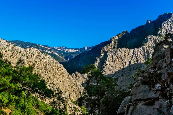 Paisaje Con Montañas Bosque Siempreverde Día Soleado Verano —  Fotos de Stock