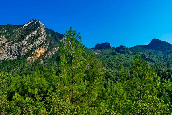 Güneşli Bir Yaz Gününde Dağlarla Ebediyete Kadar Yeşil Ormanlarla Kaplı — Stok fotoğraf