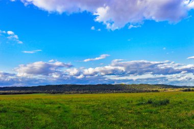 Uzakta kozalaklı bir ormanı olan çayır ve tepeler