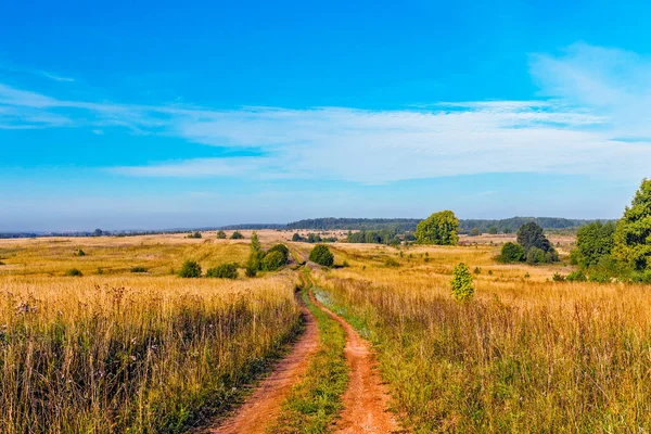 Paisagem com uma estrada de terra em um campo em um dia de outono — Fotografia de Stock