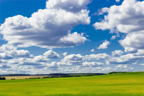 Campo de verano —  Fotos de Stock