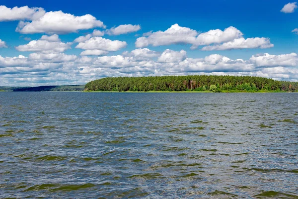 Lago e foresta — Foto Stock