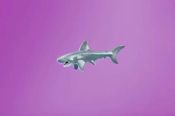 Toy animals on a pink background. Cats, sharks, dolphins, pink background.