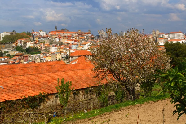 Vista sulla città — Foto Stock