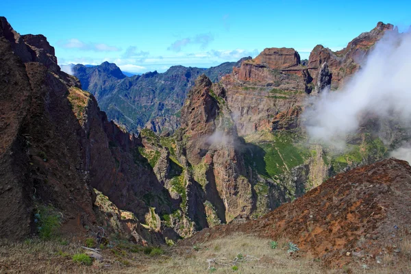 Rochas da Madeira — Fotografia de Stock