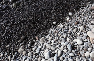 Sonbaharda orman yolu