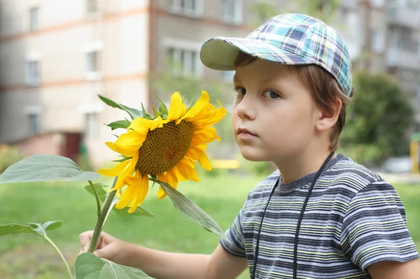 Хлопчик з великим соняшником — стокове фото