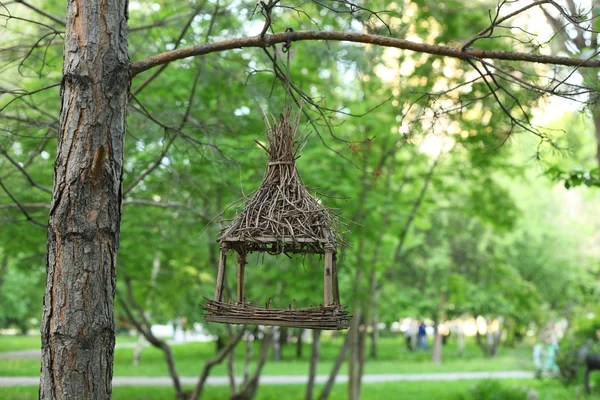 Fågelbordet Den Gröna Parken — Stockfoto