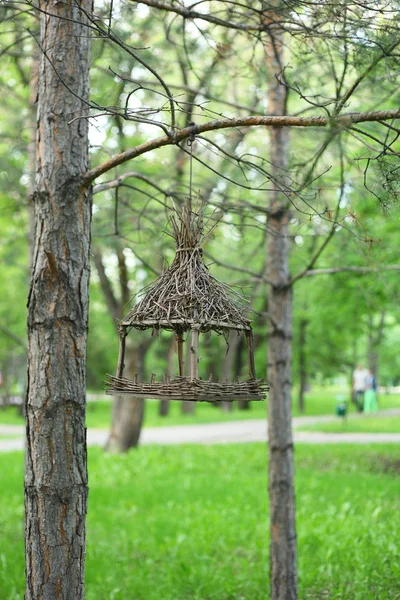 Mangiatoia Uccelli Nel Parco Verde — Foto Stock