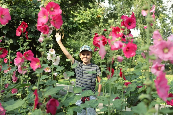 Pojke och blommor — Stockfoto